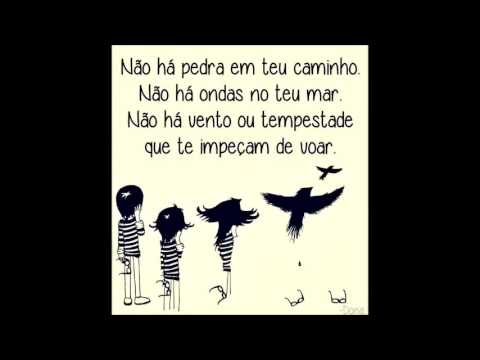 Linda Mensagem de Superação - 04 ( Caminho, Mar, Voar )