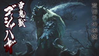 MHRiseを実況プレイ 28【ゴシャハギ】