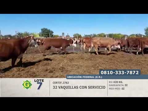 Lote Vaquillas con servicio en Federal (E. Rios)