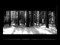 Forest Of Shadows - Open Wound (+ Lyrics) 