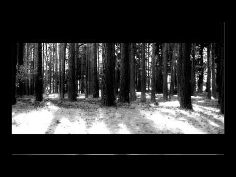 Forest Of Shadows - Open Wound (+ Lyrics)