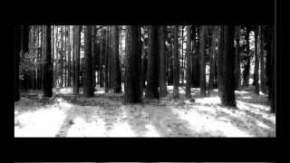 Forest Of Shadows - Open Wound (+ Lyrics)