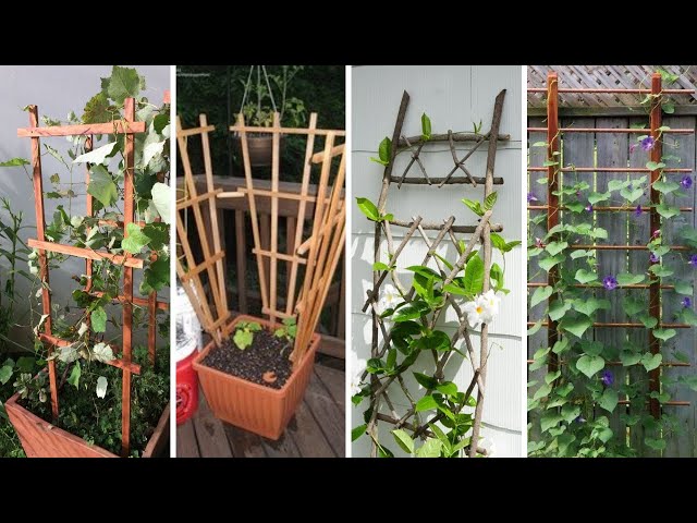 Vídeo relacionado con Soporte para plantas trepadoras en el jardín | Soporte triangular plegable para verduras | plantas trepadoras para bancal alto, para terraza, balcón, patio, invernadero, túnel, granja