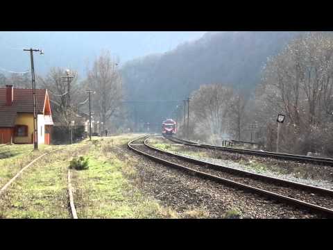 TREN TFC IN BULZ