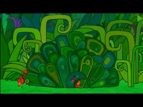 She's a superfreak - Video remix