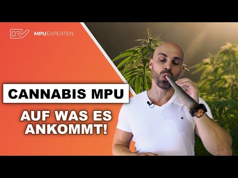 🌿 MPU & Cannabis: Was Gutachter wirklich wissen wollen!