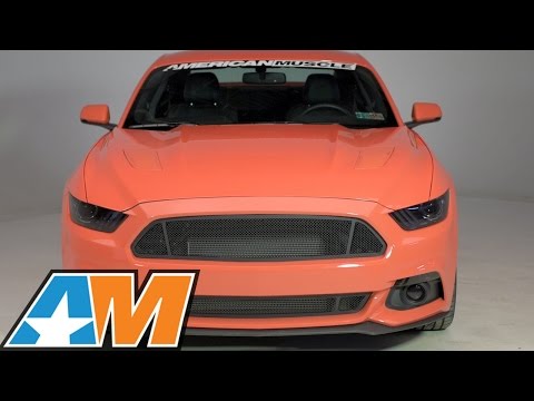 2015-2017 Mustang Modern Billet 3-Window Black Mesh Grille Review & Install