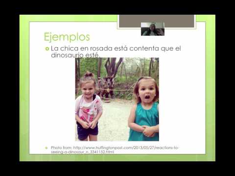 Video 21-El subjuntivo con expresiones de emoción