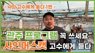 샤인머스캣 농사 고수가 추천하는 관주재배! 여러분 꼭 관주하세요! 계획적으로!! | 농사 100단
