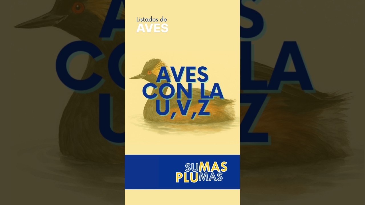 Aves con la U, V y Z