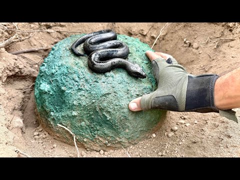 The strangest buried treasures with black snake Treasure Hunter / gold