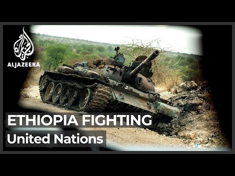 UN Security Council calls for an end to Ethiopia fighting