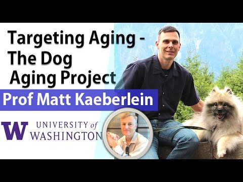 Targeting Aging Ep2 - The Dog Aging Project | Professor Matt Kaeberlein Interview Series
