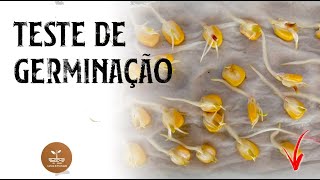 TESTE DE GERMINAÇÃO | Qual a taxa de germinação das suas sementes?