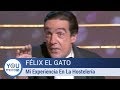 Félix El Gato Mi Experiencia En La Hostelería