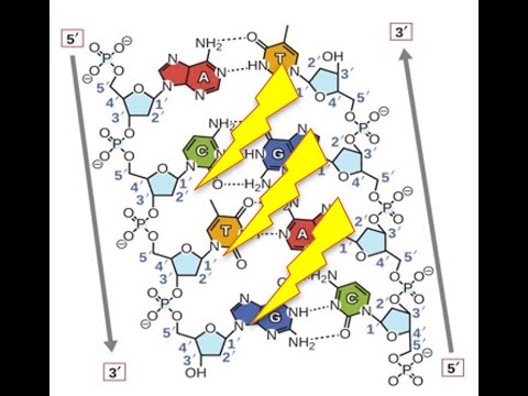 How do radiotherapy beams damage DNA?