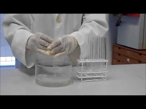 A desnaturação das proteínas