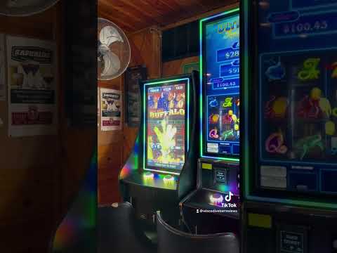 03 on 83 Saloon Video Review