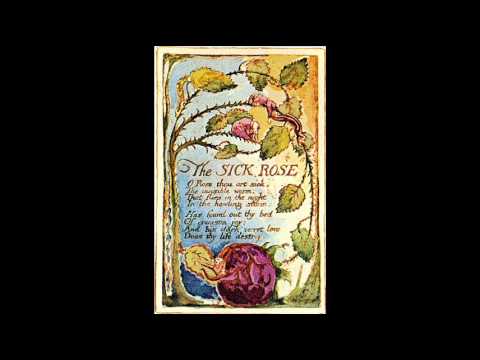 Ed Sanders  - The Sick Rose