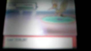 preview picture of video 'Pokémon Perl Spielfehler?(...)'