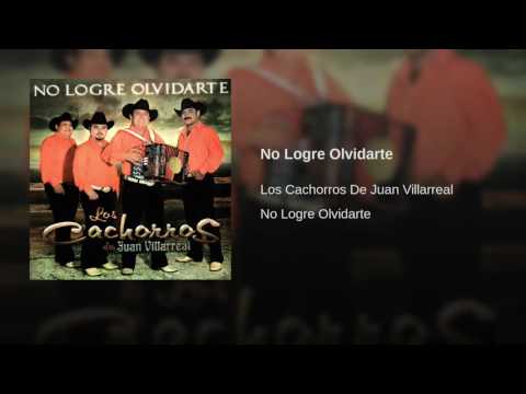 No Logre Olvidarte · Los Cachorros De Juan Villarreal