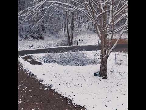 Wvsnowday