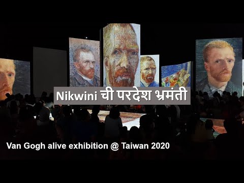 Vincent van Gogh art ALIVE -  STARRY NIGHT