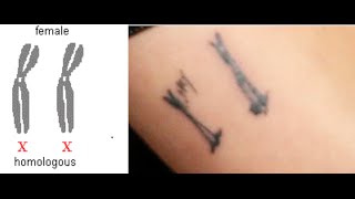 Kristen Stewart's Tattoos