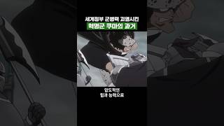 원피스) 세계정부 군병력 괴멸시키는 혁명군 쿠마의 과거