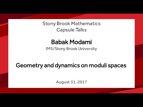 Geometry and dynamics on moduli spaces - Babak Modami