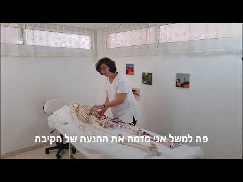 תמונה של عنان غرينبرغ