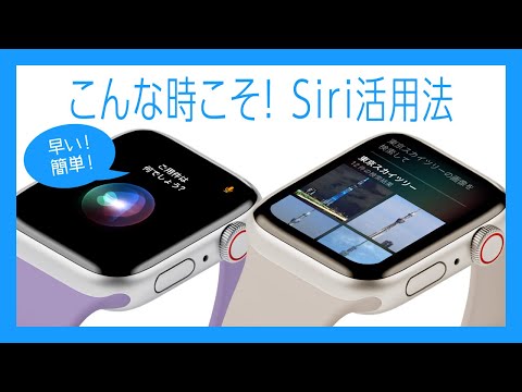 Siri の恥ずかしい故障の後:Apple が漏洩した詳細を確認