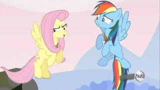 "Do you all think I'm a silly gullible fool?" - Fluttershy