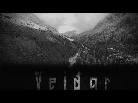 AI Vibes - Veiðar (Hunting)