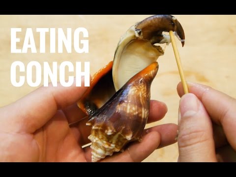 How to Make Conch Salad and Sushi - Catch and Cook