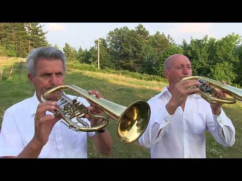 Orkestar Slobodana Nikitovica Kosjeric Nema raja bez rodnoga kraja