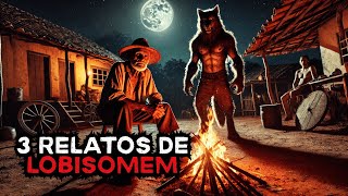 3 Relatos de Lobisomem Que Ainda Assombram o Interior