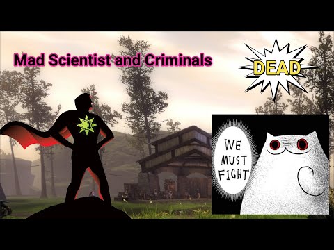 GW2 WVW Roaming 1v1 Good vs Evil engineer and thief fights and duels