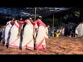 Perwabhandi Mandala Sanskriti Dance Paris Rajagangapur 2025