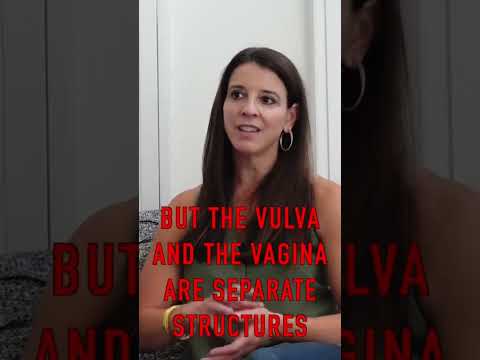 Vulva or Vagina? #pelvicpt #pelvicfloorphysicaltherapy #pelvicpain
