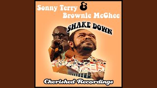 Brownies New Worried Life Blues