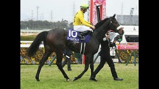 【桜花賞】2歳女王サークルオブライフ 「鉄の女」につながるパワフルな米国牝系|Top News