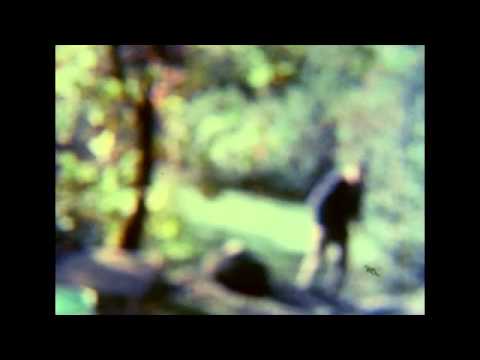 Sammal: Kylmää usvaa