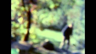 Sammal: Kylmää usvaa