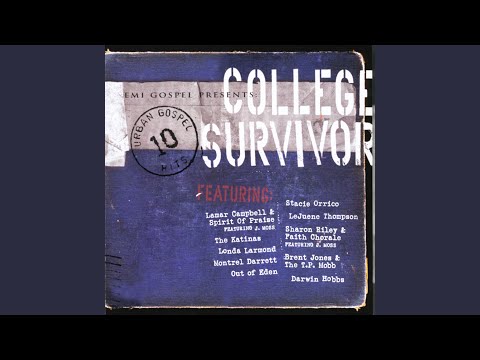 Spirit Moves (Remix)