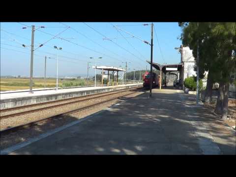 Comboio de Madeira nº  - Estação da Amieira - Linha do Oeste