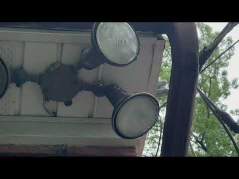 Thinking Outside the Box to Retrieve Squirrels in Monmouth Beach, NJ