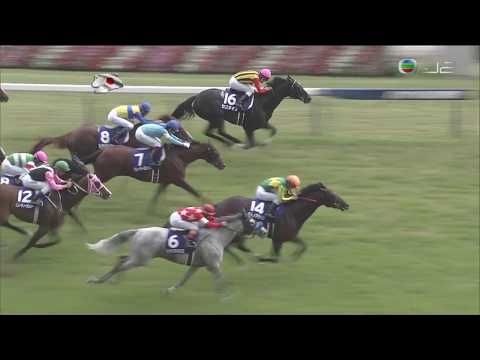 2017 安田紀念賽 Yasuda Kinen 安田記念 神燈光照 Satono Aladdin サトノアラジン
