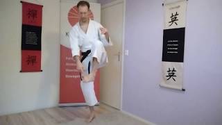 Yoko-geri detail knie heffen