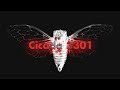 Cicada 3301: An Internet Mystery